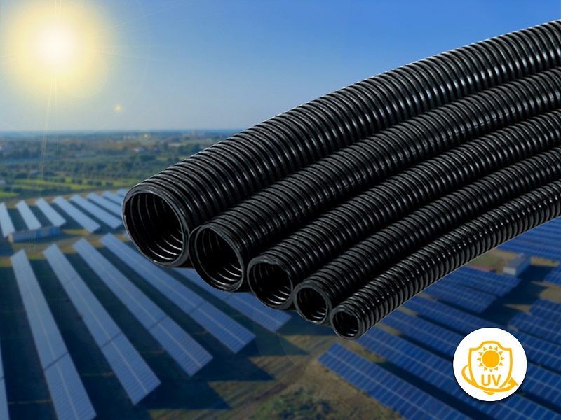 250412國內（nèi）文章封麵-1